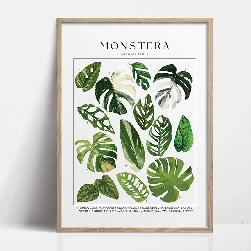 Green Botanical Leaves Canvas Wall Art Houseplants Nature Indoor Home Decor Calming Foliage And Plant Interior Poster