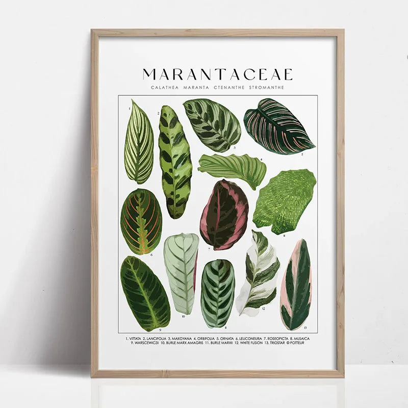 Green Botanical Leaves Canvas Wall Art Houseplants Nature Indoor Home Decor Calming Foliage And Plant Interior Poster