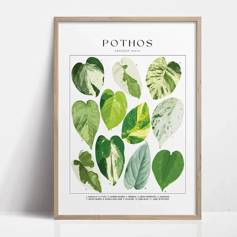 Green Botanical Leaves Canvas Wall Art Houseplants Nature Indoor Home Decor Calming Foliage And Plant Interior Poster