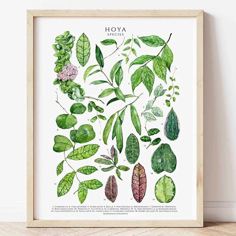 Green Botanical Leaves Canvas Wall Art Houseplants Nature Indoor Home Decor Calming Foliage And Plant Interior Poster