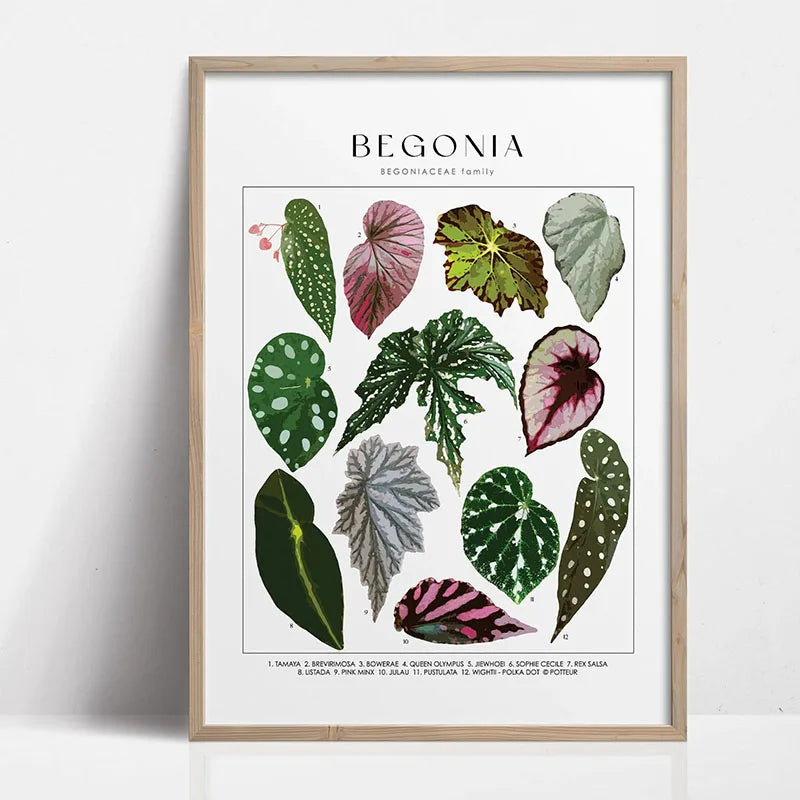 Green Botanical Leaves Canvas Wall Art Houseplants Nature Indoor Home Decor Calming Foliage And Plant Interior Poster