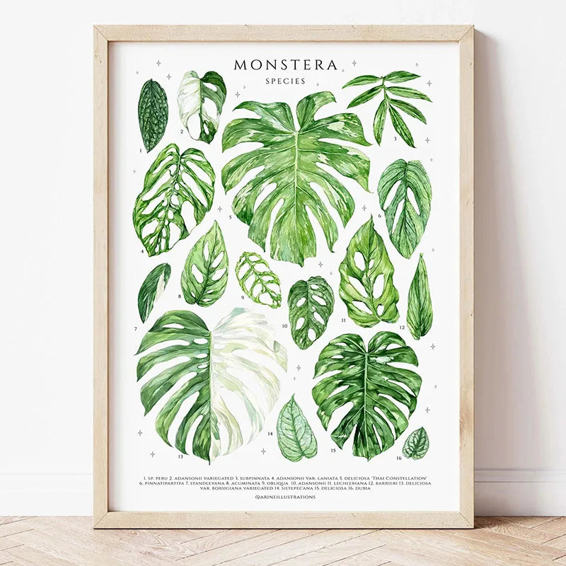 Green Botanical Leaves Canvas Wall Art Houseplants Nature Indoor Home Decor Calming Foliage And Plant Interior Poster