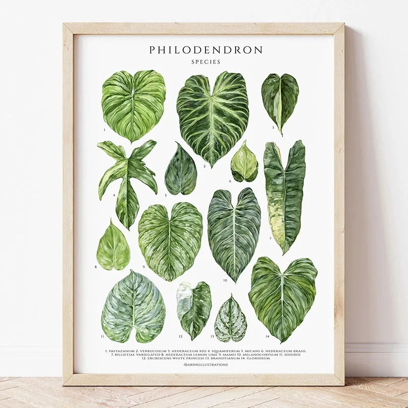 Green Botanical Leaves Canvas Wall Art Houseplants Nature Indoor Home Decor Calming Foliage And Plant Interior Poster